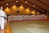 img_3882_t1.jpg